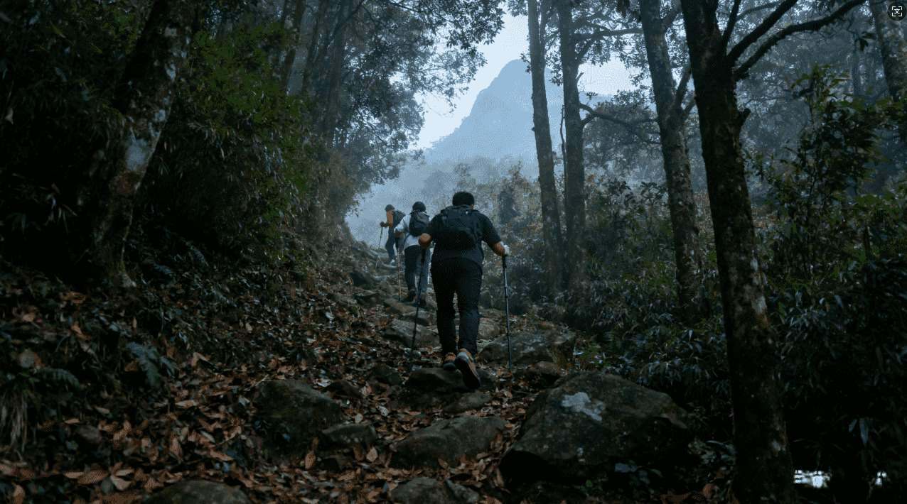 雷霆加速器大表哥线上版本下载安装教程